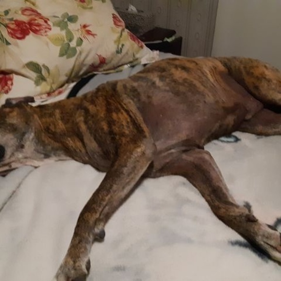 Meet your Posher, Sandy - Picture 1 of 1